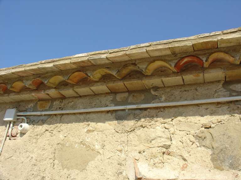can cateura teulat (6)