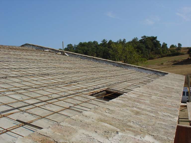 can cateura teulat (7)